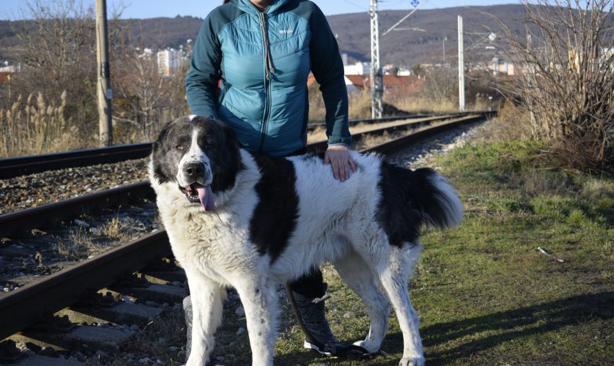 Dnešná trojkráľová návšteva u nášho krásneho Jeniseja – 6. január 2020