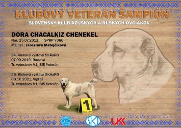 Dora Chacalkiz Chenekel – Klubový Veterán Šampión