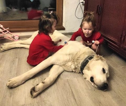 Polárka a jej dve malinké paničky