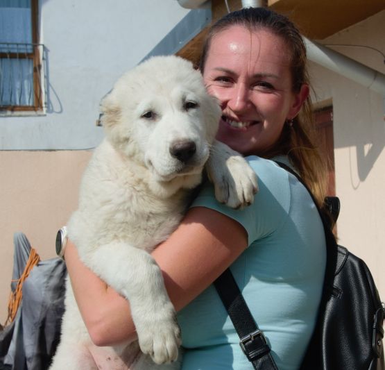 Roxy Chacalkiz Chenekel a panička Peťka