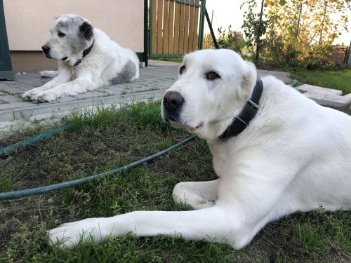 Dori a Michelle, jeseň 2024