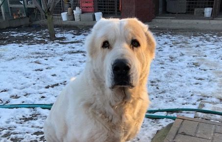 Tunimuni – Nikita Gara-Chán, február 2026