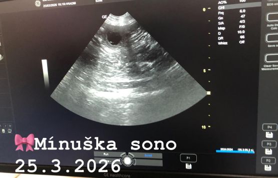 Nové krytie v Chacalkách! Mína & Kodi 2026