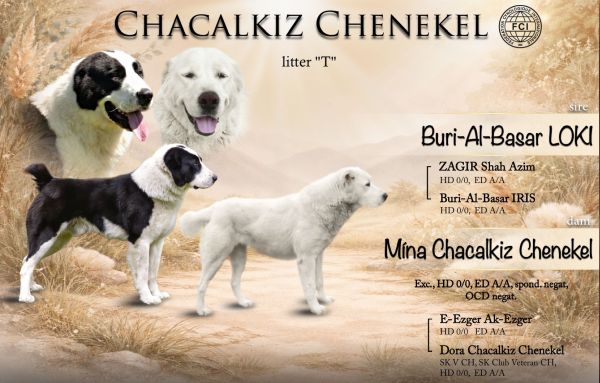 Nové krytie v Chacalkách!