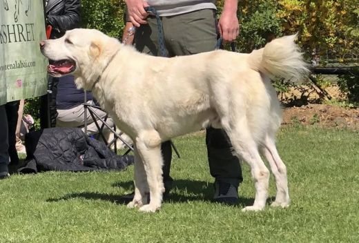 Rašanko na SKÁaRO klubovke 18.4.2026