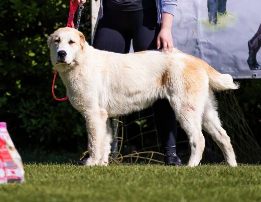 Sheila na SKÁaRO klubovke 18.4.2026